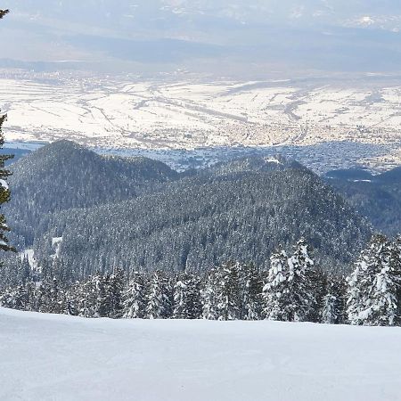 Spacious And Cosy Apartment In Bansko Royal Towers Complex Eksteriør billede