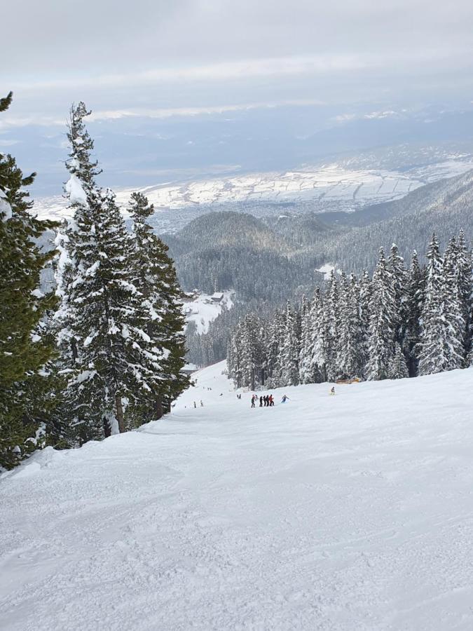 Spacious And Cosy Apartment In Bansko Royal Towers Complex Eksteriør billede