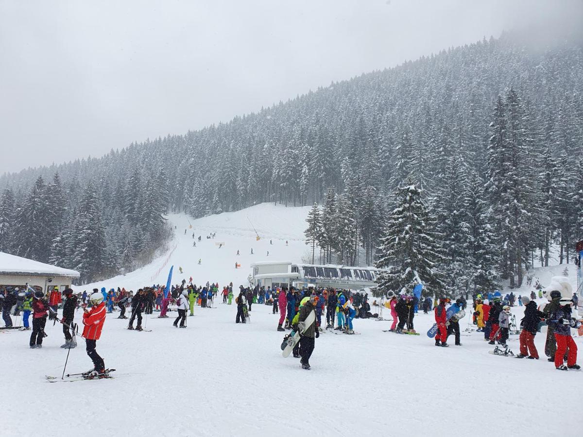 Spacious And Cosy Apartment In Bansko Royal Towers Complex Eksteriør billede