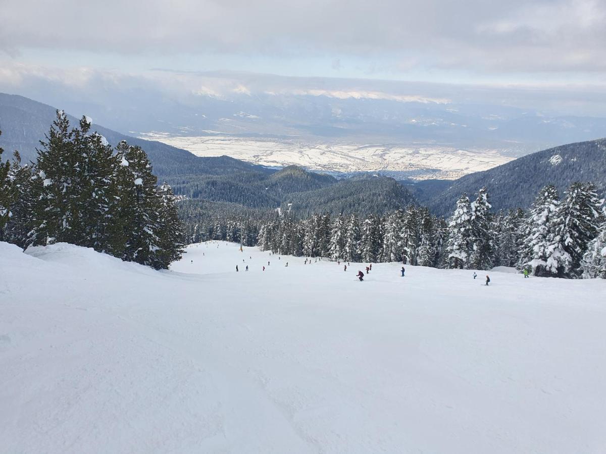 Spacious And Cosy Apartment In Bansko Royal Towers Complex Eksteriør billede